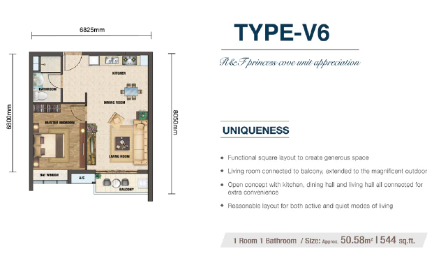 R&F Princess Cove Type V6 Floor Plan